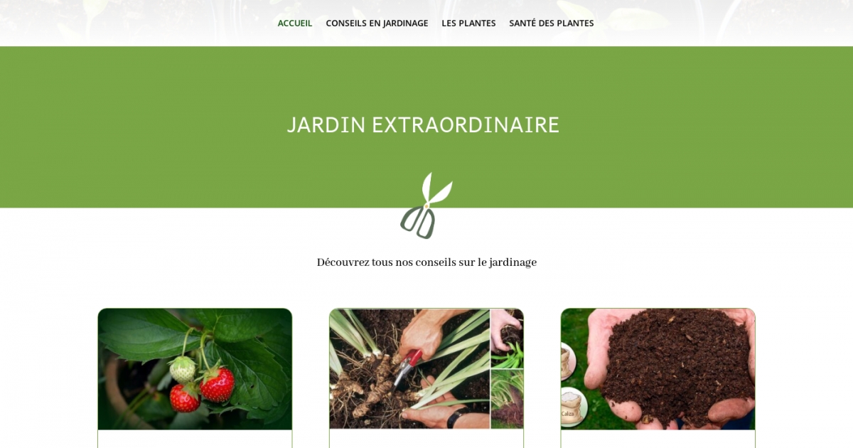 Meilleurs conseils et astuces pratiques sur le jardinage — free download