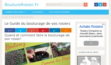 Un site qui traite de la bouture de rosier