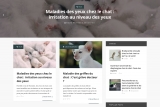 chat sante, informations sur la santé des chats et conseils d'entretien