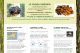 Le chaga