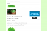 Guide complét sur le Moringa