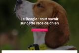 Mon Beagle, guide pratique sur le beagle