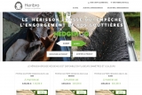 hérisson brosse