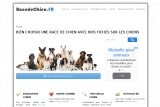 http://www.racedechien.fr/