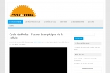 Cycle de Krebs