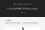 Thomas, développeur Wordpress