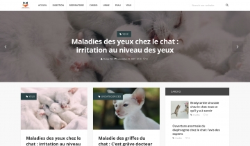 chat sante, informations sur la santé des chats et conseils d'entretien