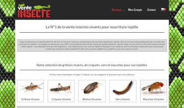 venteinsecte.fr : votre boutique en ligne d'insectes vivants pour reptiles