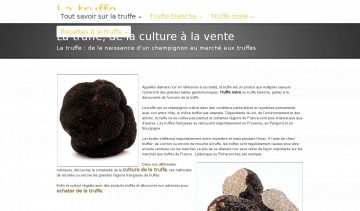 truffe noires