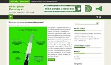 Mini Cigarette électronique, guide complet