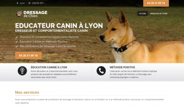 dogs-cool, les prestations d'un dresseur et comportementaliste canin