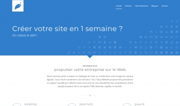 Easy-Website, hébergeur web professionnel