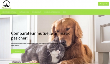 flairassur.com : choisissez la meilleure mutuelle pour vos animaux de compagnie