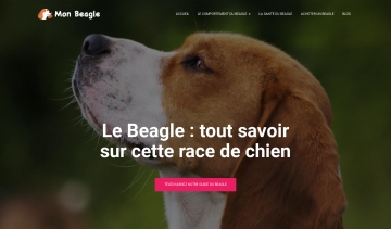 Mon Beagle, guide pratique sur le beagle