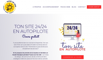 Shine On Web  : cours gratuit en ligne pour optimiser votre stratégie marketing