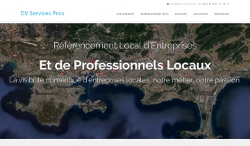 dv services pros - référencement seo - publicité numérique