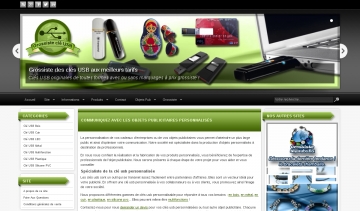 clé usb personnalisable pour vos objets publicitaires
