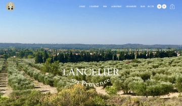 Lancelier en Provence