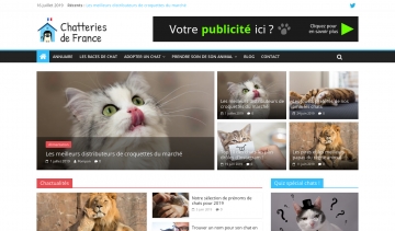 Chatteries de France : élevages félins et conseils pour chats et chatons 