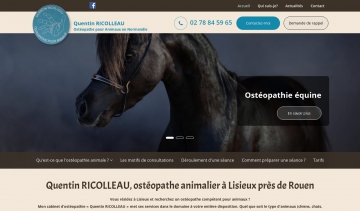 Osteo Equin Canin Ricolleau, ostéopathe animalier à Lisieux