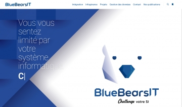 Blue Bears It, votre spécialiste de l'infogérance informatique