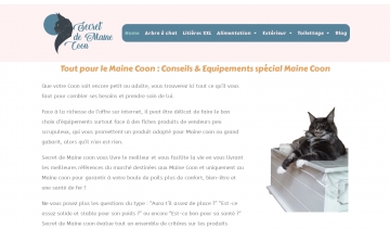 Secret de Maine coon, informations et conseils sur les équipements du Maine coon