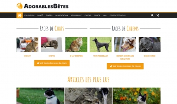 Adorablesbetes, guide web pour tout savoir sur vos chiens et chats