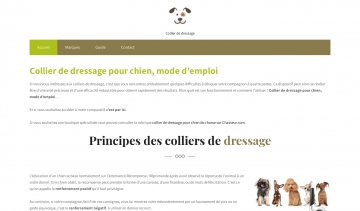 Collier de dressage : un guide d’achat et comparatif de prix 