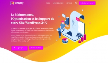 Weapzy, experts en services de maintenance et d'optimisation de sites internet