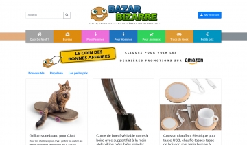 Bazar Bizarre, la boutique en ligne de gadgets insolites à bons prix