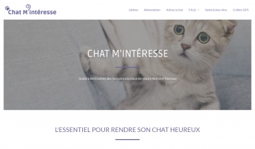 Tout savoir sur l'alimentation des chats