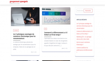 Groupement Synergetic, le site web de l'information à temps réel