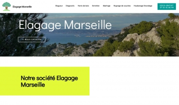 Élagage Marseille, la référence dans le domaine des arbres 