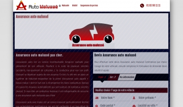 Assurance Auto Malussé, l'assureur qui vous sauve