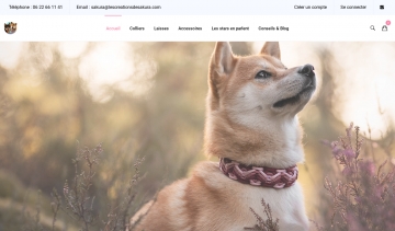 Les créations de Sakura, votre collier personnalisé pour chien