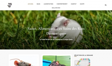 blog rat domestique