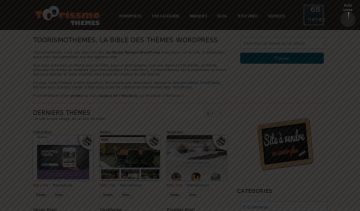 Le site Toorismothemes.com