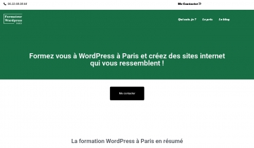 Alexis Griveau : Formateur freelance Wordpress à Paris