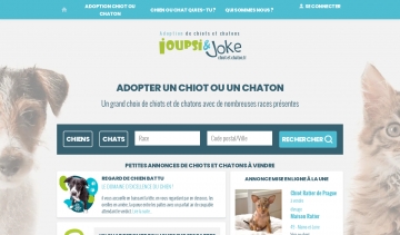 Chiot-et-Chaton.fr, adoptez un compagnon de race en toute sérénité