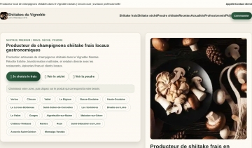 Production artisanal de shiitake dans le vignovle nantais