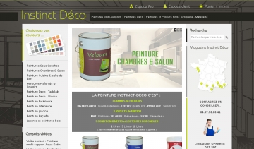 peinture sur internet avec instinct-deco