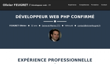 Développeur web 77