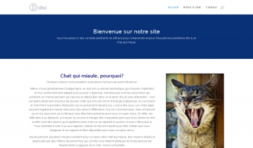 Chat-qui-miaule