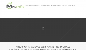 agence Mindfruits