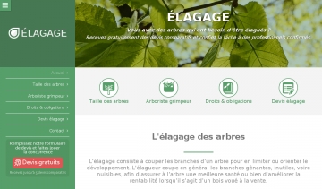 elagage professionnel