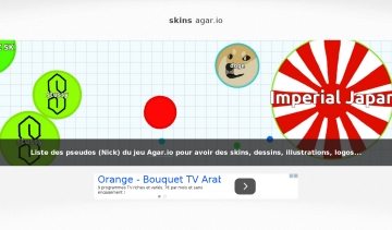 http://skins-agario.com/