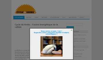 Cycle de Krebs