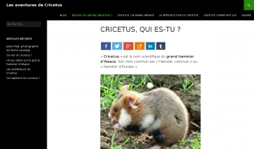 Site de cricetus, le grand hamster d'Alsace