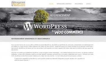 Référencement WordPress, agence de référencement des sites internet