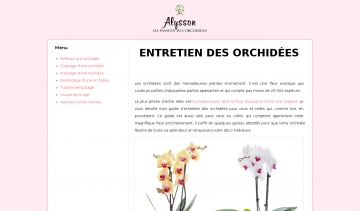 Alysson, blog de conseils sur les orchidées